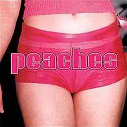 teaches of peaches fuck the pain away lyrics sand for cage bottom